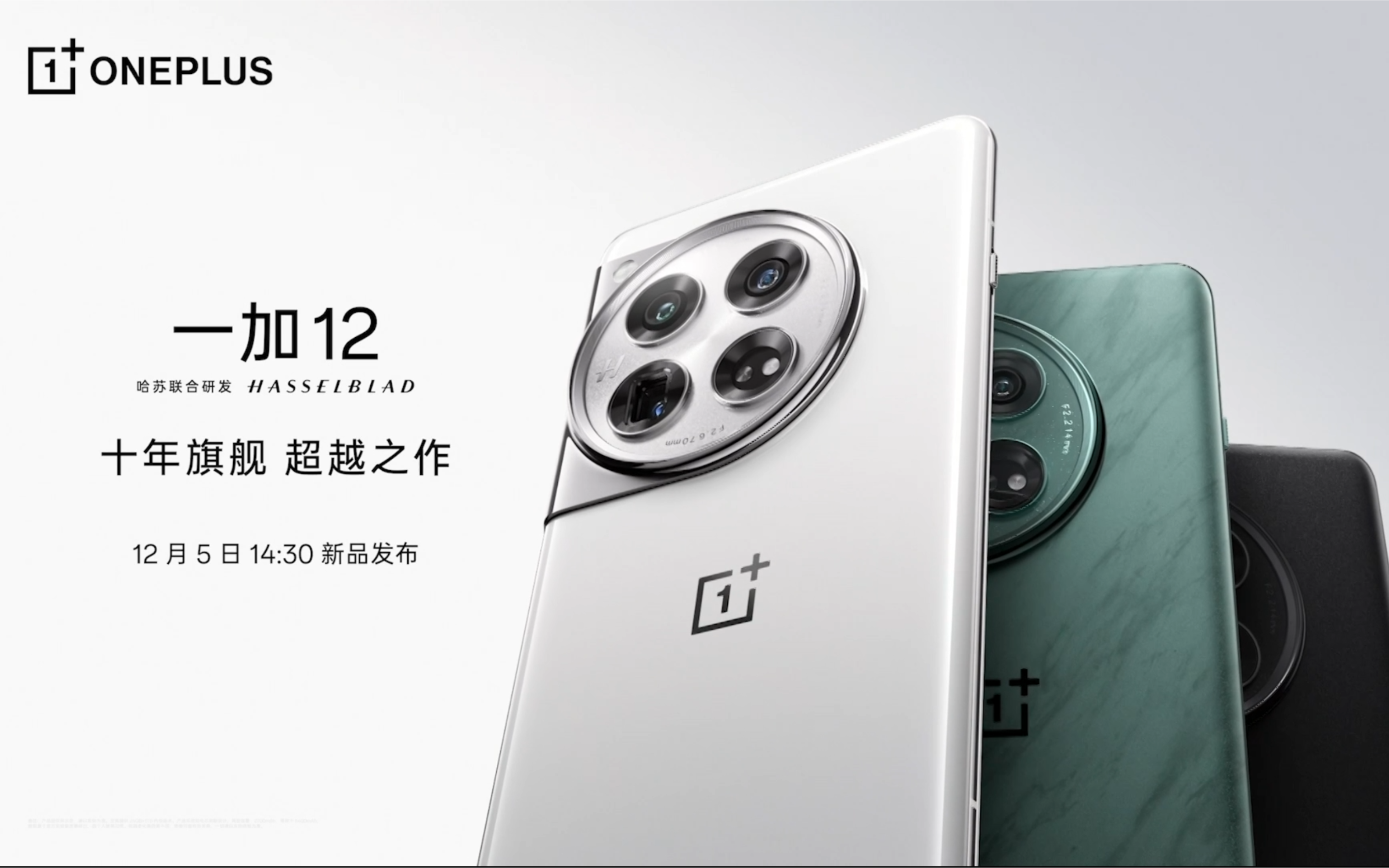 微信图片_20231130164718_副本.png